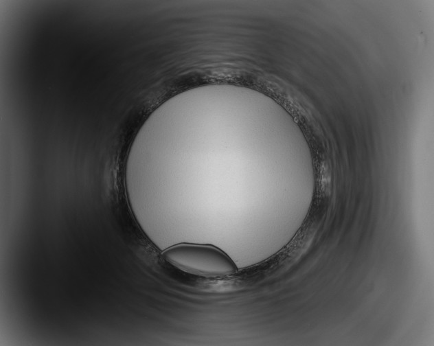 X0000087510514200705180957