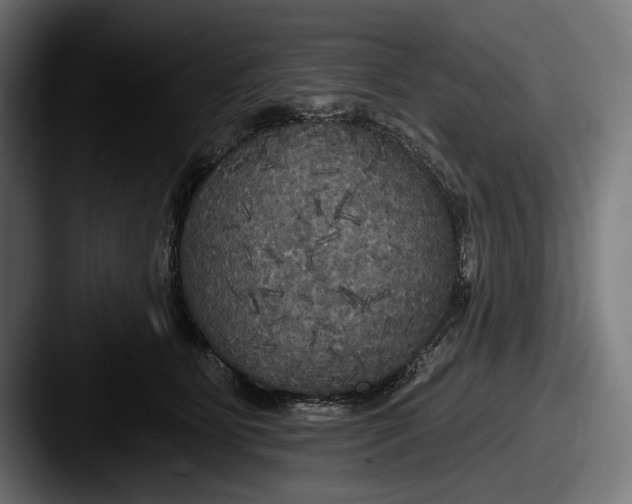 X0000087510515200705180957