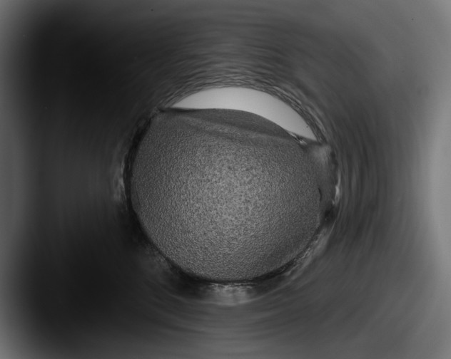 X0000087510520200705180956