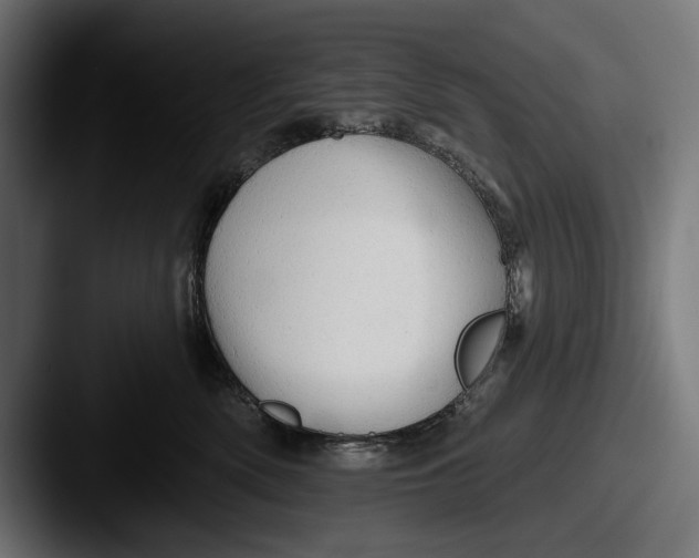X0000087510522200705180956