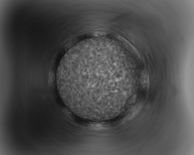 X0000087510523200705180956