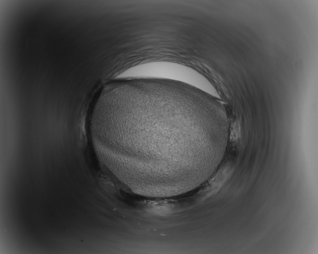 X0000087510524200705180956