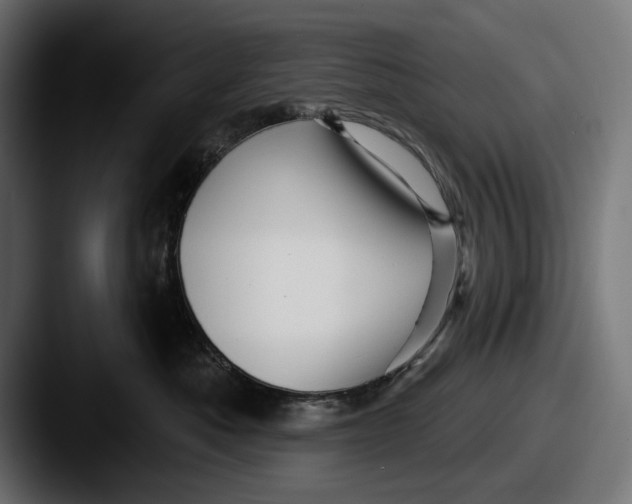 X0000087510525200705180956