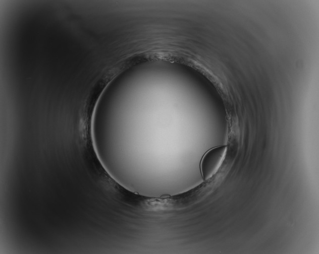 X0000087510526200705180956
