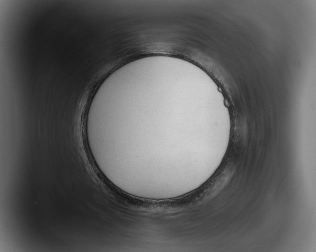 X0000087510529200705180956