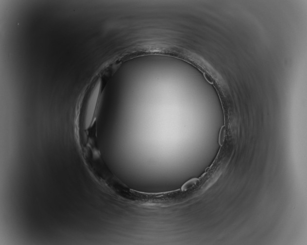 X0000087510530200705180956