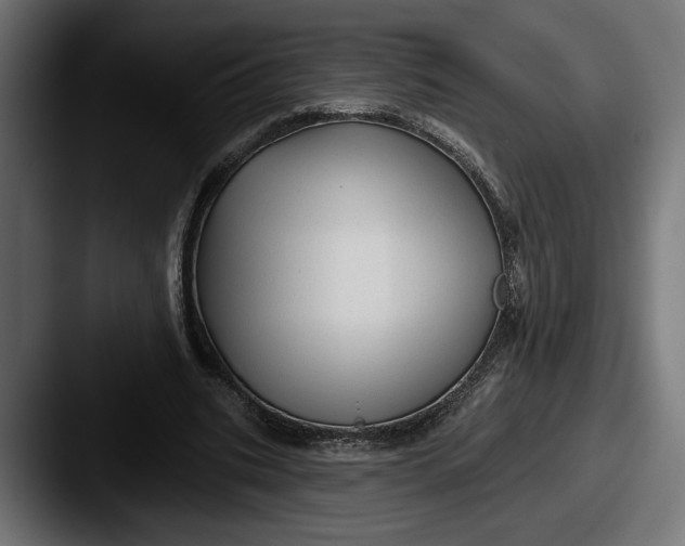 X0000087510535200705180956