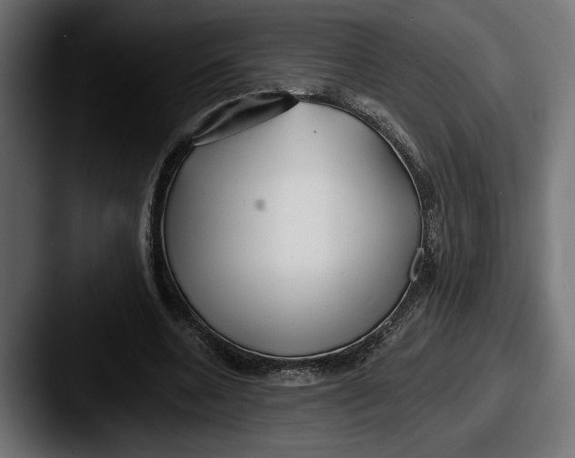 X0000087510536200705180956