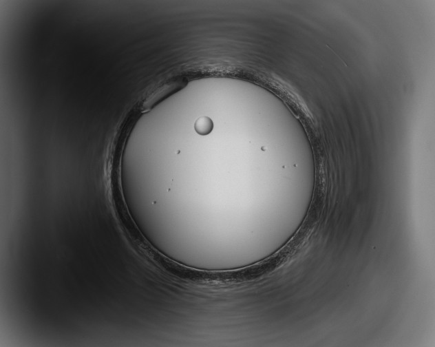 X0000087510538200705180956