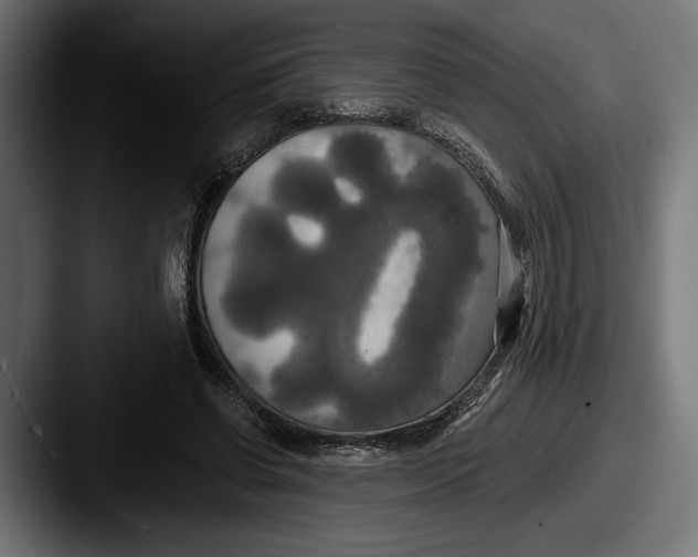 X0000087510542200705180956