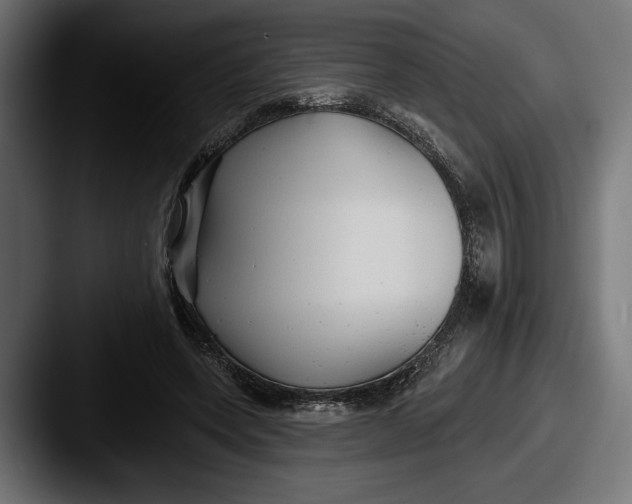 X0000087510543200705180956
