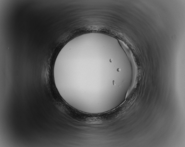 X0000087510544200705180956
