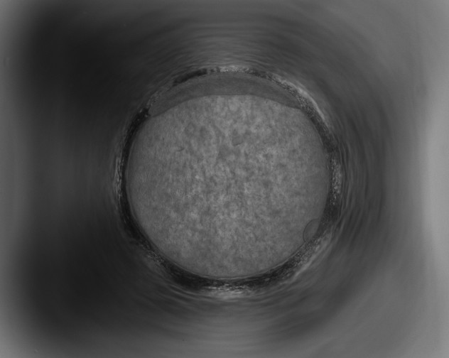 X0000087510545200705180956