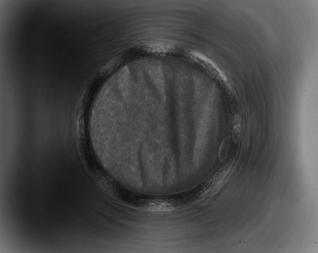 X0000087510547200705180956