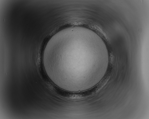 X0000087510549200705180956
