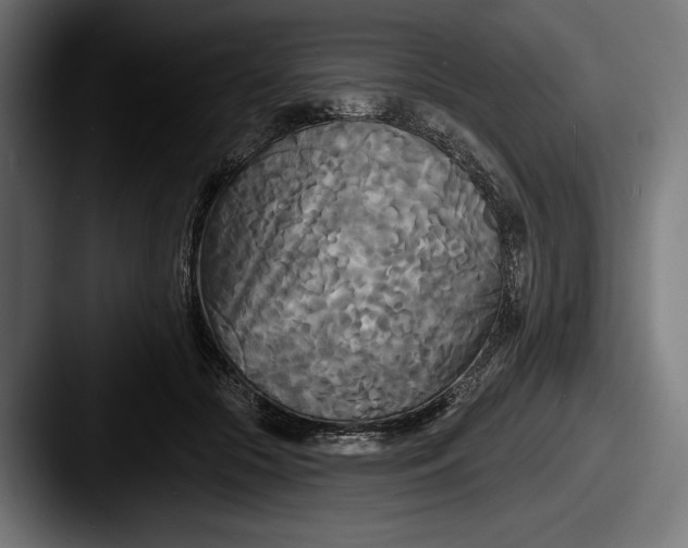 X0000087510553200705180956