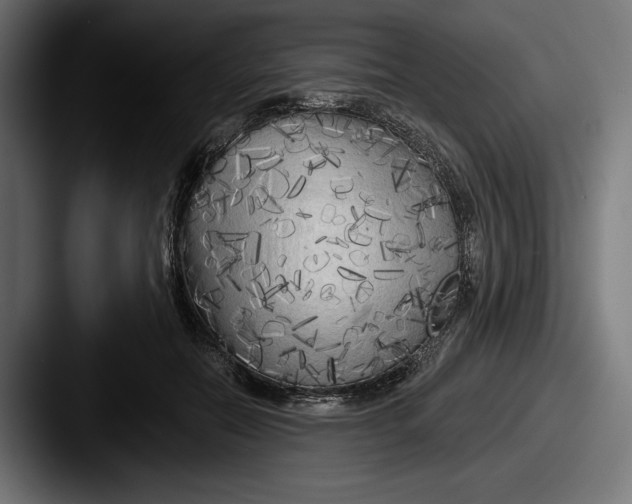 X0000087510554200705180956