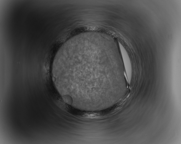 X0000087510557200705180956