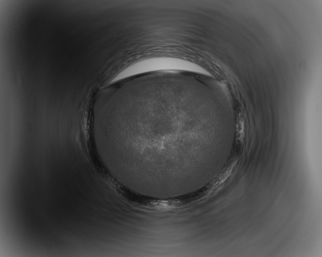 X0000087510558200705180956