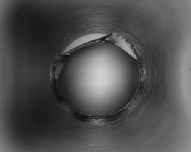 X0000087510560200705180956