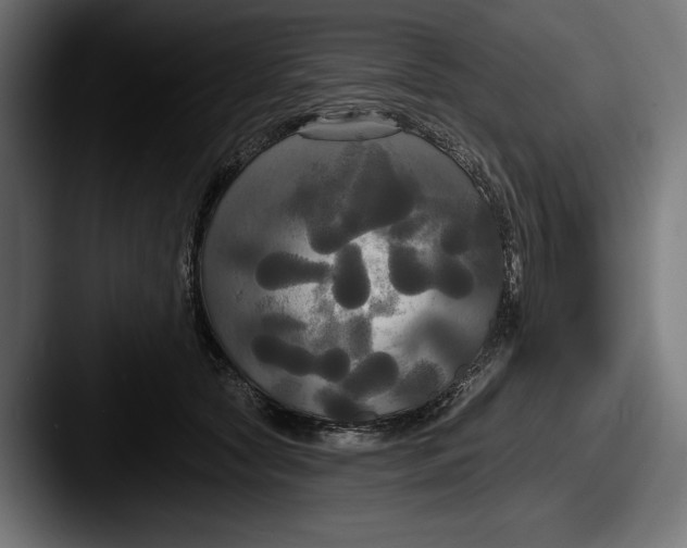 X0000087510561200705180956