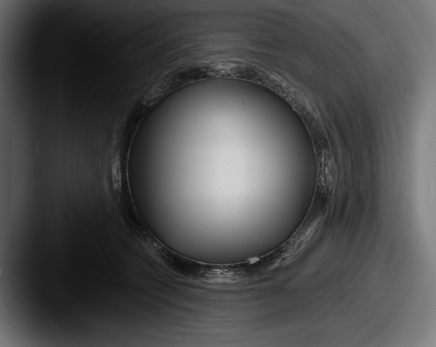X0000087510562200705180956