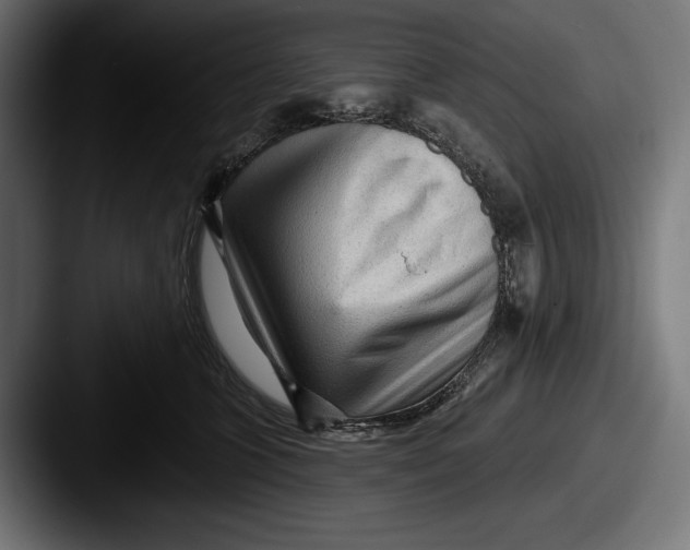 X0000087510563200705180956