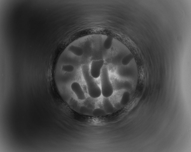 X0000087510565200705180956