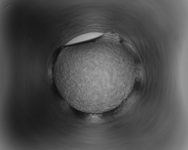 X0000087510573200705180956