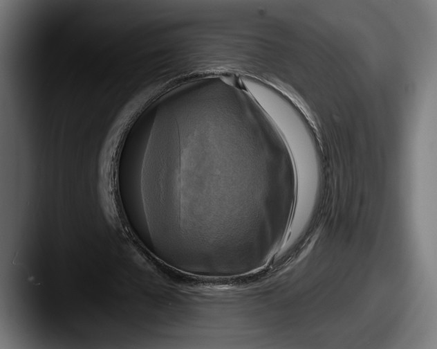 X0000087510577200705180956