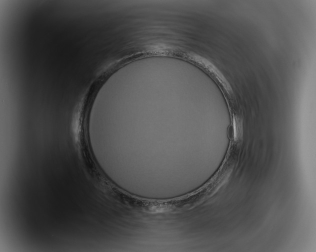 X0000087510579200705180956
