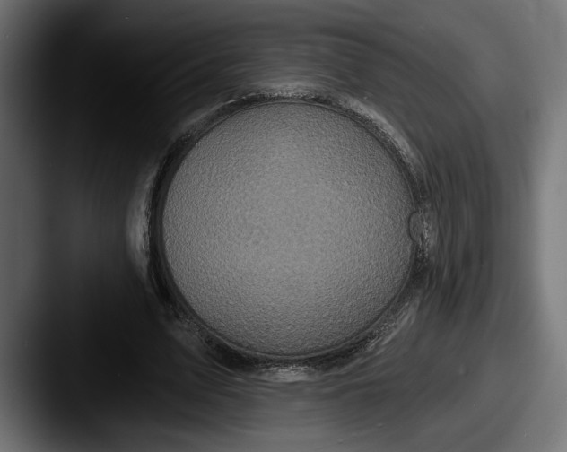 X0000087510583200705180956