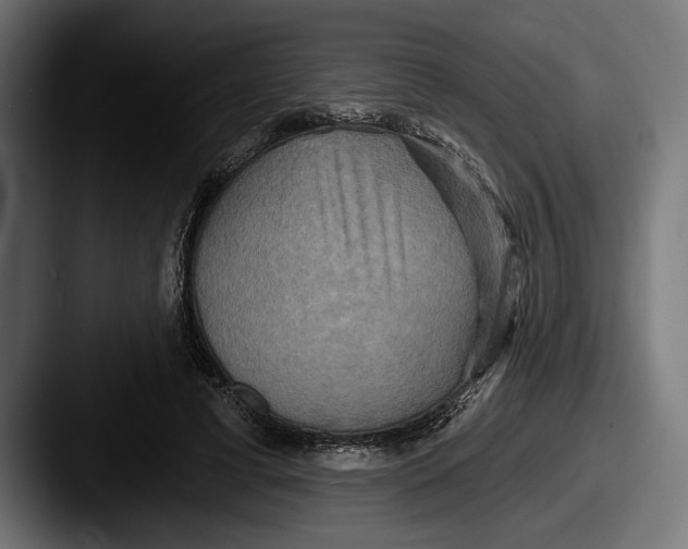 X0000087510593200705180956