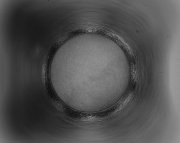 X0000087510594200705180956