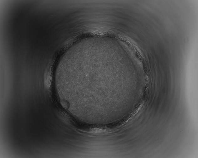 X0000087510596200705180956