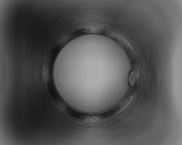 X0000087510599200705180956