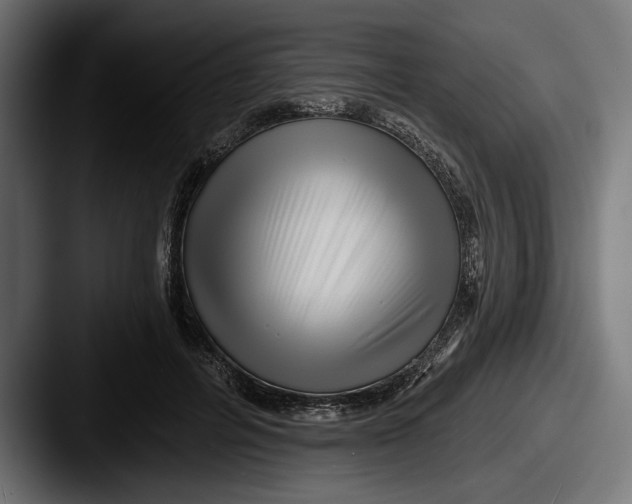 X0000087510600200705180956