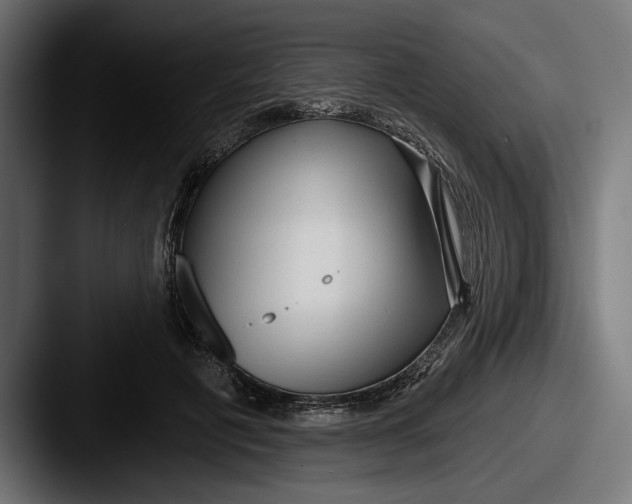 X0000087510601200705180956