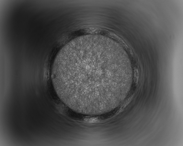 X0000087510602200705180956