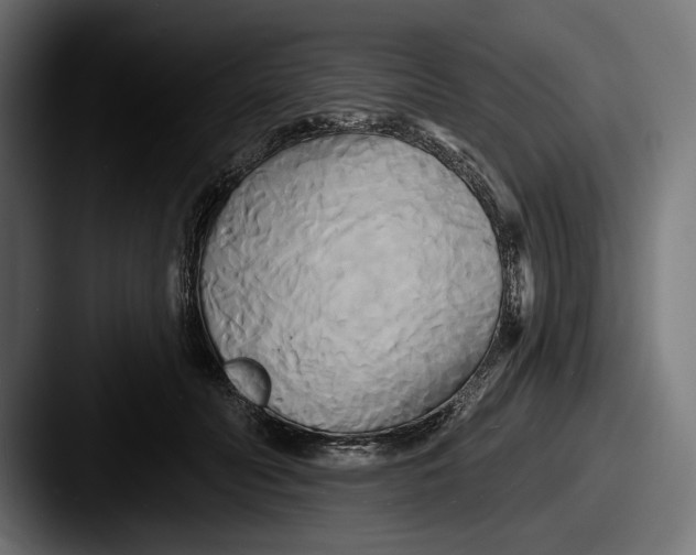 X0000087510606200705180955