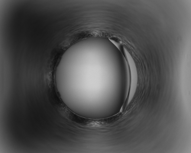 X0000087510611200705180955