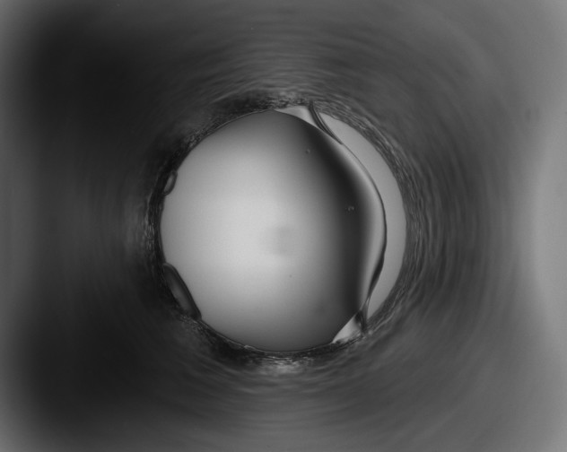 X0000087510613200705180955