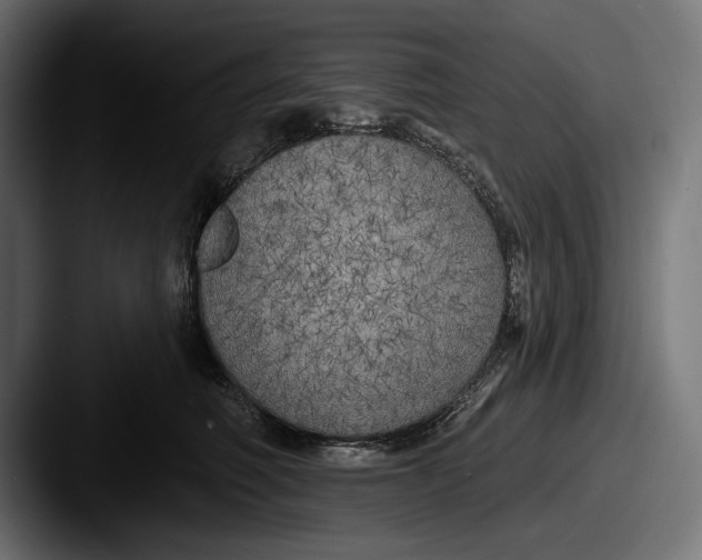 X0000087510614200705180955