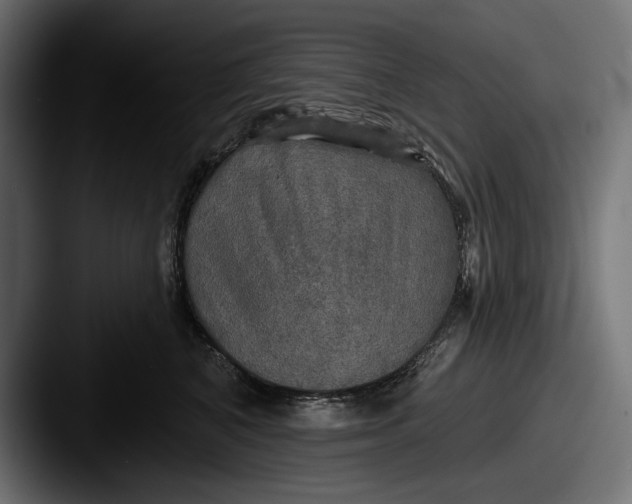 X0000087510616200705180955