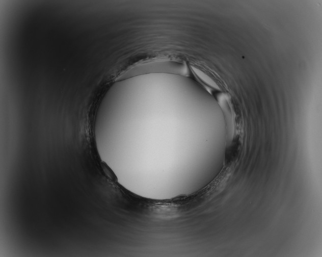 X0000087510617200705180955