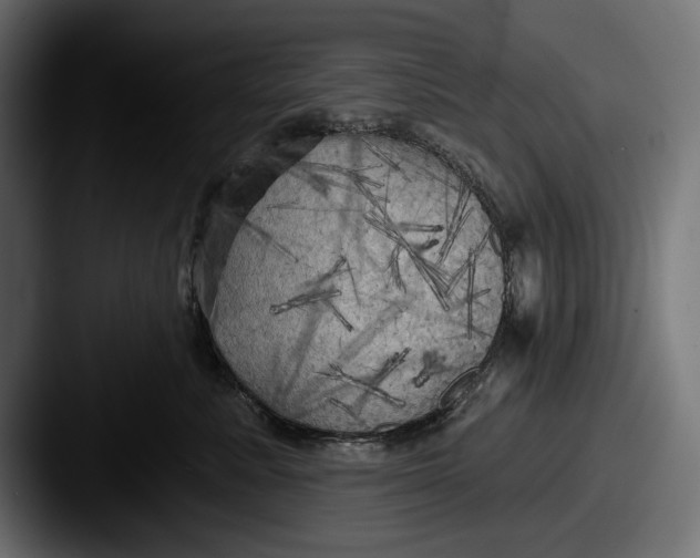 X0000087510619200705180955