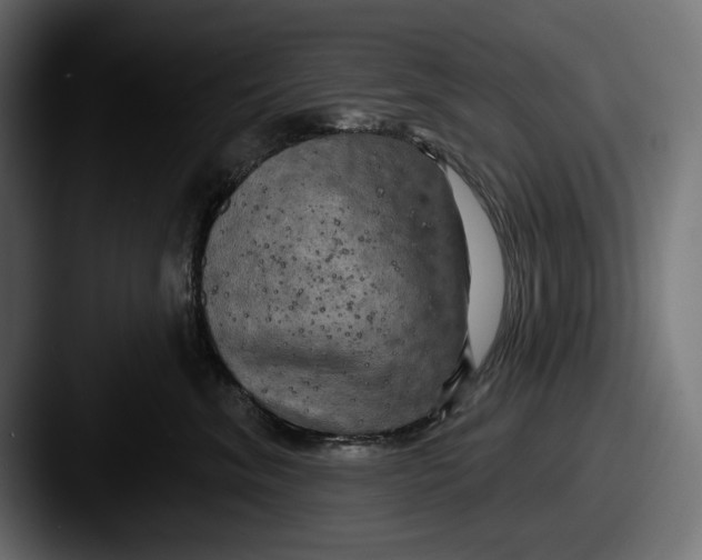 X0000087510620200705180955