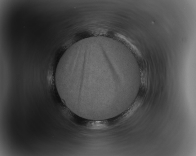 X0000087510622200705180955