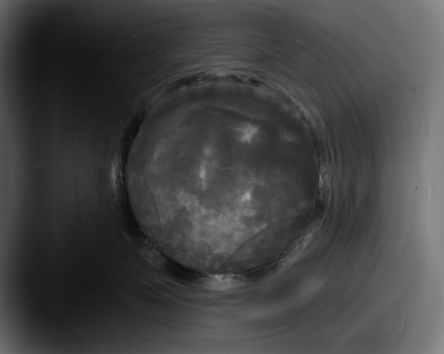 X0000087510623200705180955