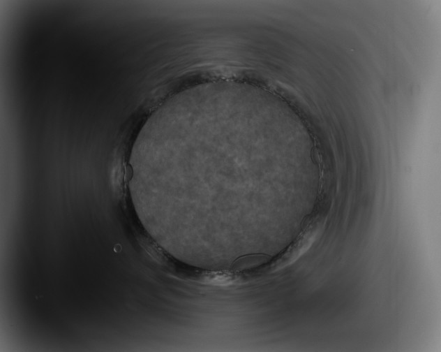 X0000087510624200705180955